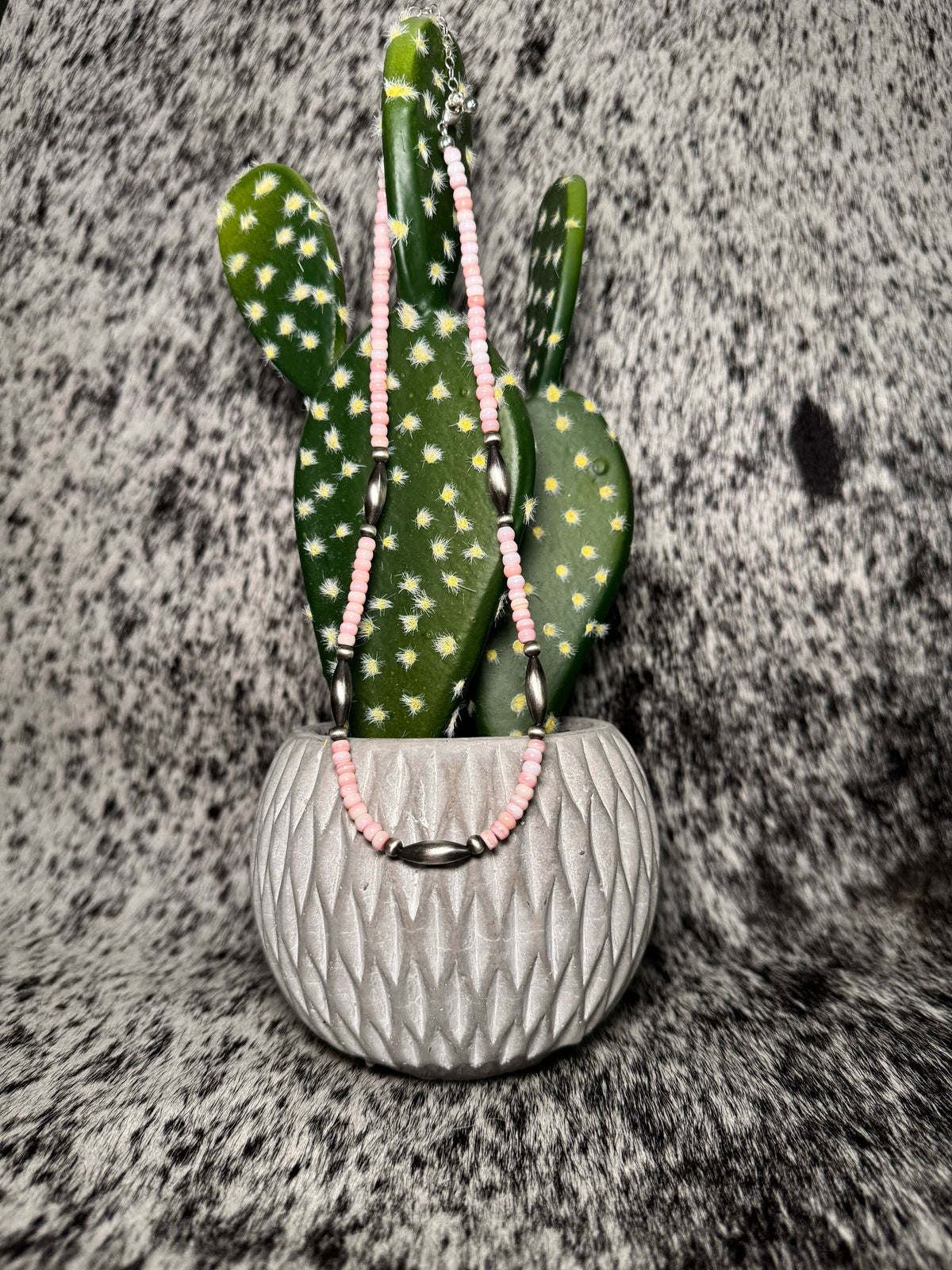 Cactus Bloom